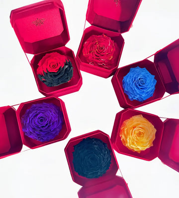 Preserved Rose: Eternal Beauty for Every Occasion - Imaginary Worlds