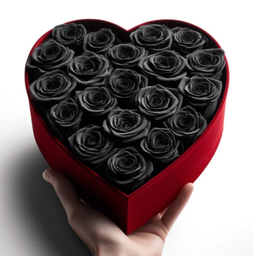 The Enigmatic World of Black Roses: Unraveling Their Deep Meanings and Symbolism - Imaginary Worlds