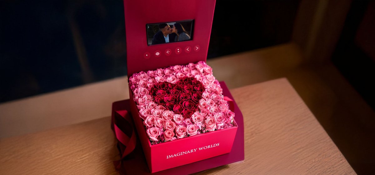 Customized Preserved Roses vs. Regular Roses | Key Differences ...