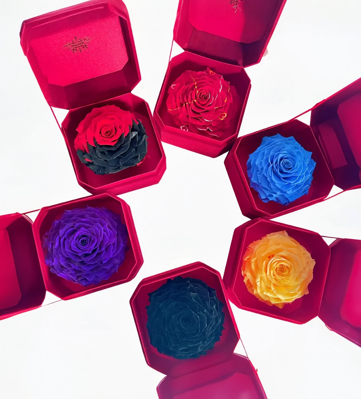 Single Rose Elegance Collection - Imaginary Worlds