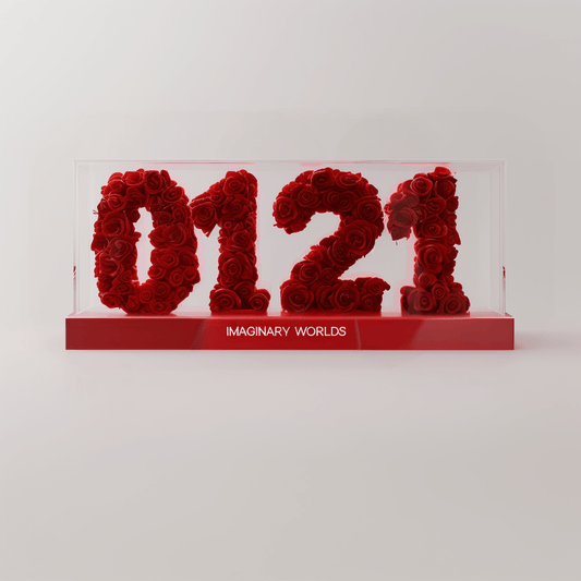 Aquarius 121 Rose Box – Enlightenment Gift - Imaginary Worlds