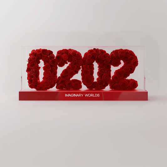 Aquarius 202 Rose Box – Innovation and Vision - Imaginary Worlds