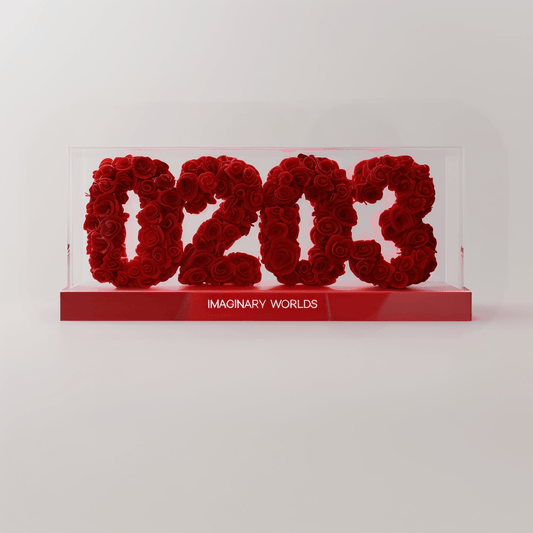 Aquarius 203 Rose Box – Creativity and Revolution - Imaginary Worlds