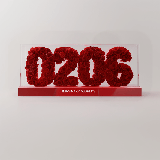 Aquarius 206 Rose Box – Freedom and Visionary Spirit - Imaginary Worlds