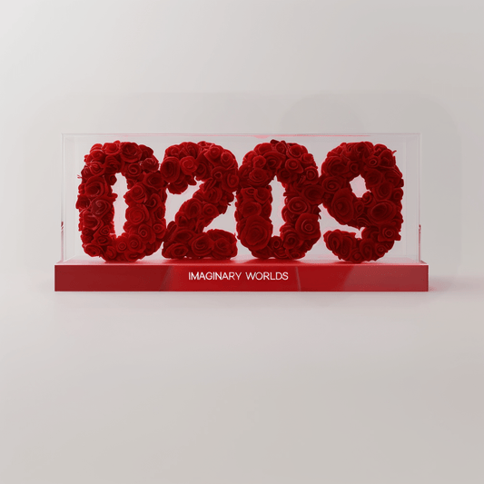 Aquarius 209 Rose Box – Inspirational and Innovative Gift - Imaginary Worlds