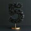 Black Rose Eternal Number 5 Lamp - Imaginary Worlds