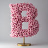 Boreas Pink Rose Letter B Lamp - Imaginary Worlds