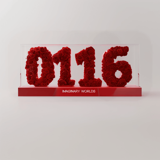 Capricorn 116 Rose Box – Ambition and Vision - Imaginary Worlds