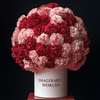 Carnation box - Imaginary Worlds