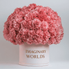 Carnation box - Imaginary Worlds