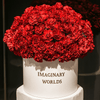 Carnation box - Imaginary Worlds