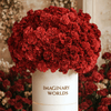 Carnation box - Imaginary Worlds