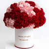 Carnation box - Imaginary Worlds