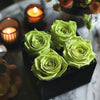 Chartreuse Preserved Roses in Modern Black Square Box - Imaginary Worlds