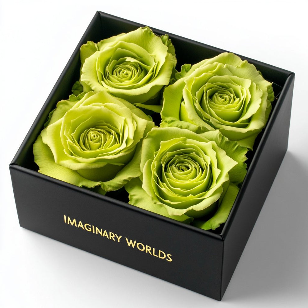 Chartreuse Preserved Roses in Modern Black Square Box – Preserved Roses ...