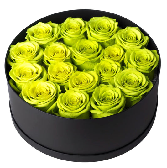 Chartreuse Vibrance in Black Round Box - Imaginary Worlds