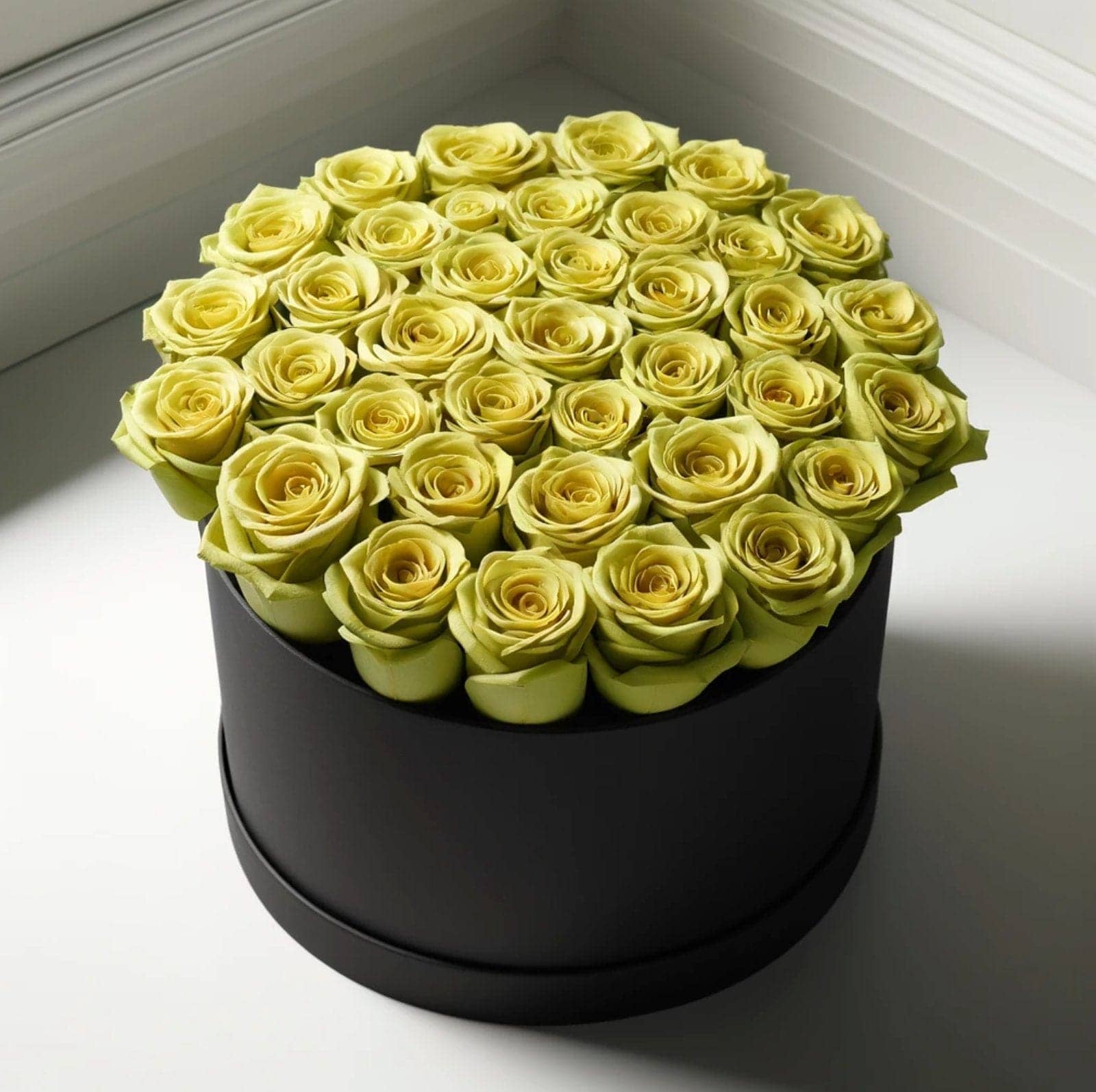 Chartreuse Vibrance in Black Round Box - Imaginary Worlds