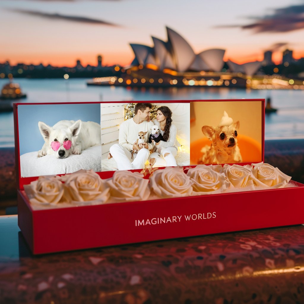 Memory Case For Roses Custom 7 Roses Memory Box – Preserved Roses at Imaginary Worlds