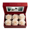 Customized Forever White Rose Box with Photo - Imaginary Worlds