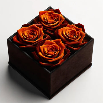 Dark Orange Forever Roses in Black Velvet Box - Imaginary Worlds