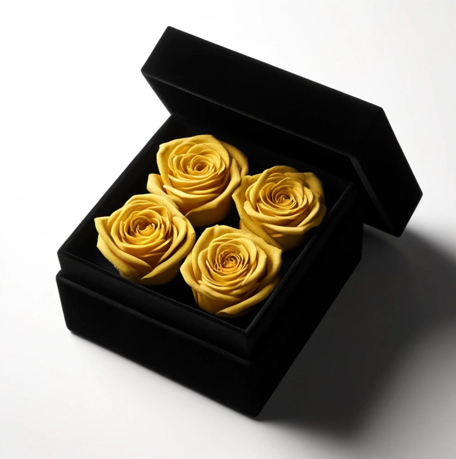 Yellow Rose Collection