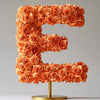 Eos Orange Rose Letter E Lamp - Imaginary Worlds