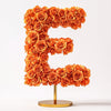 Eos Orange Rose Letter E Lamp - Imaginary Worlds