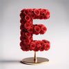 Eros Red Rose Letter E Lamp - Imaginary Worlds