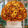 Forever Sunflower Box – Golden Gradient Edition - Imaginary Worlds