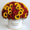 Forever Sunflower & Red Rose Box – Light and Passion in Bloom - Imaginary Worlds