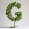 Gaia Green Rose Letter G Lamp - Imaginary Worlds