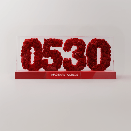 Gemini 530 Rose Box – Embrace Curiosity and Communication - Imaginary Worlds