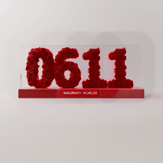 Gemini 611 Rose Box – Curiosity and Adaptability Gift - Imaginary Worlds