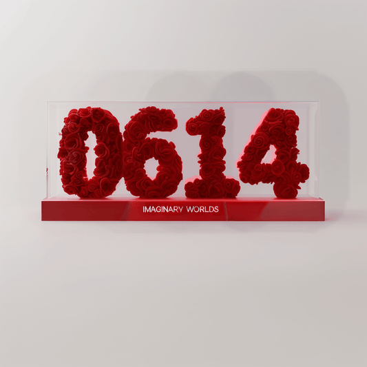 Gemini 614 Rose Box – Communication and Connection Gift - Imaginary Worlds