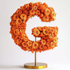 Glaucus Orange Rose Letter G Lamp - Imaginary Worlds