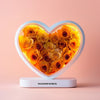 Heart lamp with speaker - Imaginary Worlds
