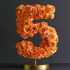 Orange Rose Eternal Number 5 Lamp - Imaginary Worlds