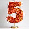 Orange Rose Eternal Number 5 Lamp - Imaginary Worlds