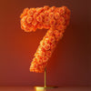 Orange Rose Eternal Number 7 Lamp - Imaginary Worlds