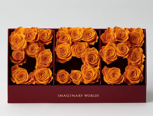 Orange Roses 555 Rose Box - Imaginary Worlds