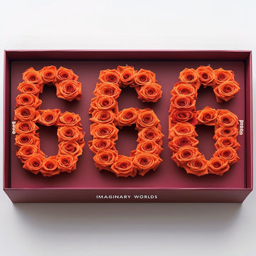 Orange Roses 666 Rose Box - Imaginary Worlds