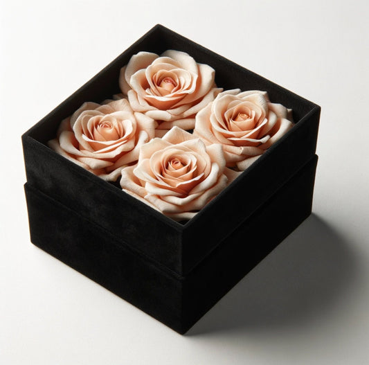 Peach Forever Roses in Black Velvet Box - Imaginary Worlds