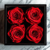 Preserved Burgundy Roses in Black Square Box - Imaginary Worlds