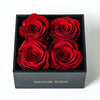 Preserved Burgundy Roses in Black Square Box - Imaginary Worlds