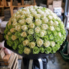 Preserved Green and White Roses Flower Bouquet - Imaginary Worlds