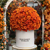Ramo Buchón Orange Velvet Majesty - Imaginary Worlds
