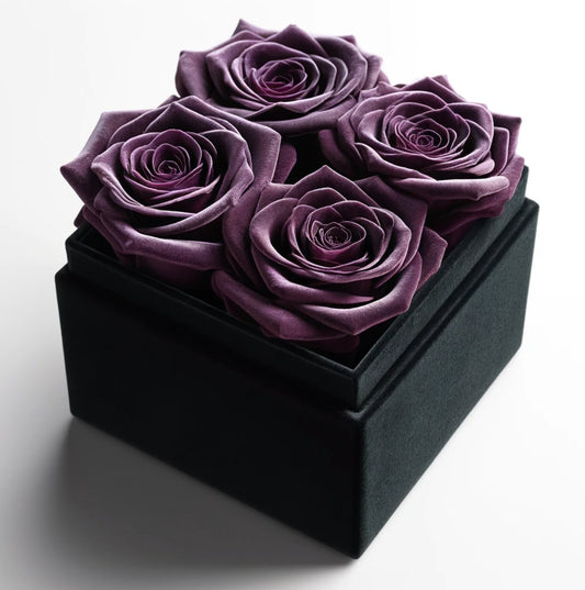 Royal Purple Forever Roses in Black Velvet Box - Imaginary Worlds