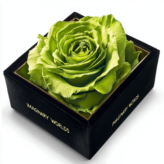 Single Apple Green Rose Silk Box - Imaginary Worlds