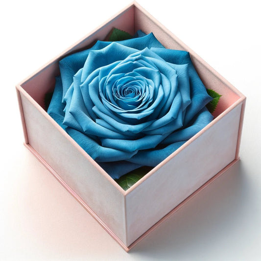 Single Blue Rose Barbie Box - Imaginary Worlds