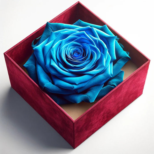 Single Blue Rose Velvet Dream - Imaginary Worlds